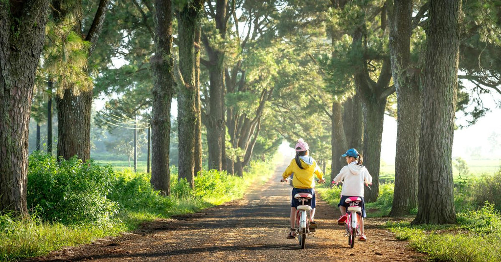 Regalos sostenibles mil ideas para cuidar el planeta